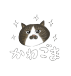 ごまねこ（個別スタンプ：16）