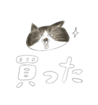 ごまねこ（個別スタンプ：29）