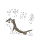 ごまねこ（個別スタンプ：31）