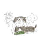 ごまねこ（個別スタンプ：40）