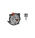 ghost cat cat（個別スタンプ：21）