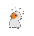 あなたはモルモットを知っている？（個別スタンプ：10）