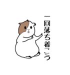 あなたはモルモットを知っている？（個別スタンプ：14）
