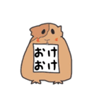 あなたはモルモットを知っている？（個別スタンプ：22）