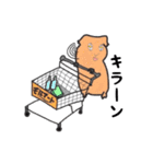 あなたはモルモットを知っている？（個別スタンプ：23）