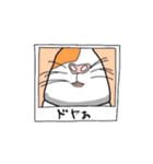 あなたはモルモットを知っている？（個別スタンプ：26）