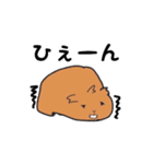 あなたはモルモットを知っている？（個別スタンプ：38）