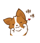 Corgi Dog KaKa - Good Friends（個別スタンプ：9）