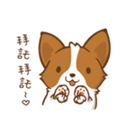 Corgi Dog KaKa - Good Friends（個別スタンプ：11）