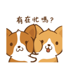 Corgi Dog KaKa - Good Friends（個別スタンプ：19）