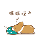 Corgi Dog KaKa - Good Friends（個別スタンプ：24）