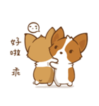 Corgi Dog KaKa - Good Friends（個別スタンプ：27）