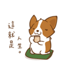 Corgi Dog KaKa - Good Friends（個別スタンプ：29）