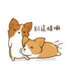 Corgi Dog KaKa - Good Friends（個別スタンプ：38）