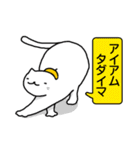 カタカナ英語と愛♡のねこさん（個別スタンプ：37）