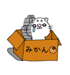 しろねこマンチカン（個別スタンプ：38）