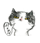 Meow mo cats 3.0（個別スタンプ：1）