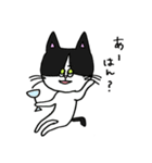 3匹の猫（ゆるめ）（個別スタンプ：1）