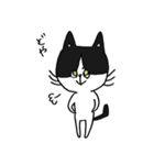 3匹の猫（ゆるめ）（個別スタンプ：2）