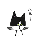 3匹の猫（ゆるめ）（個別スタンプ：3）