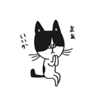 3匹の猫（ゆるめ）（個別スタンプ：6）