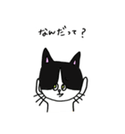 3匹の猫（ゆるめ）（個別スタンプ：9）