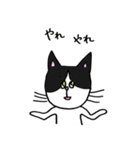 3匹の猫（ゆるめ）（個別スタンプ：12）