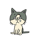 3匹の猫（ゆるめ）（個別スタンプ：19）