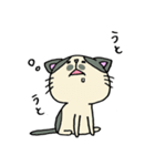 3匹の猫（ゆるめ）（個別スタンプ：24）