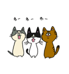 3匹の猫（ゆるめ）（個別スタンプ：40）