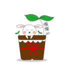 FUN FUN BUNNY（個別スタンプ：3）