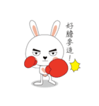 FUN FUN BUNNY（個別スタンプ：35）