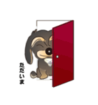 ちょいちょい使える！ Jack ＆ Rain（個別スタンプ：5）
