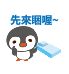 Taiwanese penguin（個別スタンプ：33）