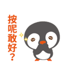 Taiwanese penguin（個別スタンプ：37）