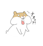 はむと相棒スタンプ（個別スタンプ：21）