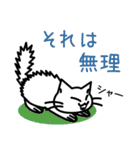 ねこ語  日常編（個別スタンプ：19）