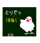 白文鳥（個別スタンプ：10）