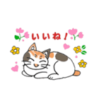 ねこねこにゃんこスタンプ2（個別スタンプ：2）