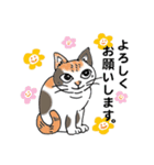 ねこねこにゃんこスタンプ2（個別スタンプ：10）