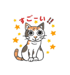 ねこねこにゃんこスタンプ2（個別スタンプ：19）