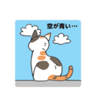 ねこねこにゃんこスタンプ2（個別スタンプ：28）