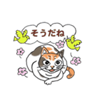 ねこねこにゃんこスタンプ2（個別スタンプ：35）