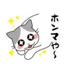 おバカわ猫せしぼん3 ちょいちょい大阪弁（個別スタンプ：20）
