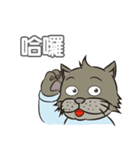 Gray cat with tiger Taro Pills（個別スタンプ：1）