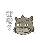 Gray cat with tiger Taro Pills（個別スタンプ：6）