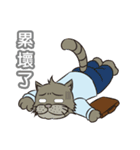 Gray cat with tiger Taro Pills（個別スタンプ：8）