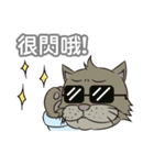 Gray cat with tiger Taro Pills（個別スタンプ：9）