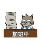 Gray cat with tiger Taro Pills（個別スタンプ：16）