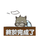 Gray cat with tiger Taro Pills（個別スタンプ：17）